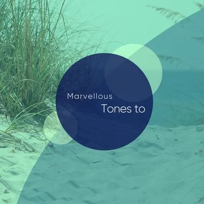 Marvellous Tones to Aid Sleep 專輯 Easy Sleep Music/Sleeping Music Experience/Ambiente