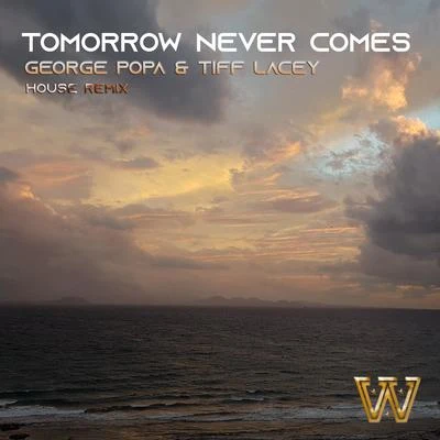 Tiff LaceyAlpha Duo Tomorrow Never Comes (House Remix)