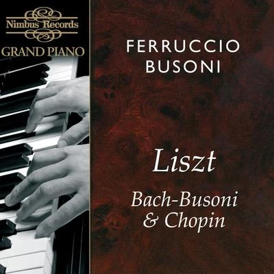 Ferruccio Busoni Plays Liszt, Bach & Chopin 專輯 Ignacy Jan Paderewski/Ferruccio Busoni/Franz Liszt/Johann Sebastian Bach/Robert Schumann