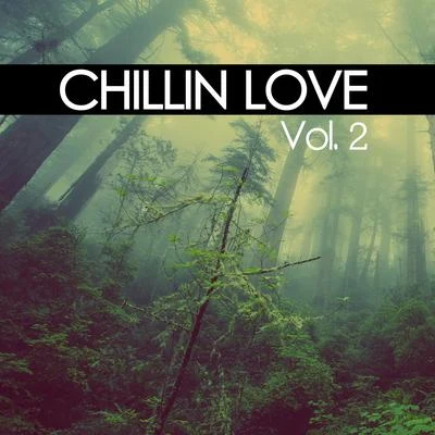 Chillin Love, Vol. 2 专辑 John Barbirolli