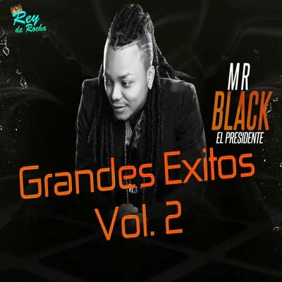 Grandes Éxitos, Vol. 2 专辑 Yuranis Leon/Mr. Ragga/Mr Black El Presidente/DJ Dever