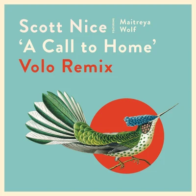 A Call to Home (Volo Remix) 專輯 Simrit/Scott Nice