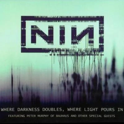 Where Darkness Doubles, Where Light Pours in 專輯 Nine Inch Nails