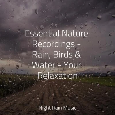 White Noise Babies Essential Nature Recordings - Rain, Birds & Water - Your Relaxation