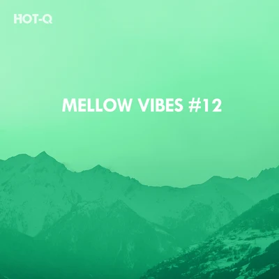 Mellow Vibes, Vol. 12 專輯 Hot-Q