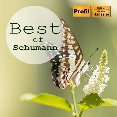 Best of Schumann 專輯 Radio-Sinfonieorchester Stuttgart