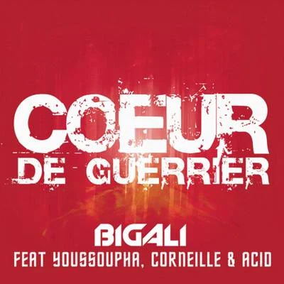 Big AliKASTRADj Prime Coeur de guerrier