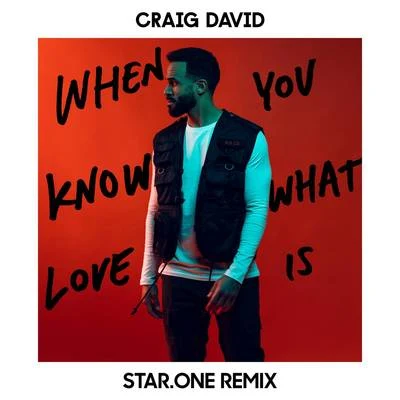 Craig David When You Know What Love Is (Star.One Remix)