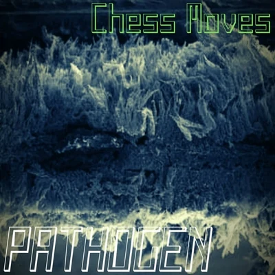 Pathogen 专辑 DJ Too Tuff/Chess Moves