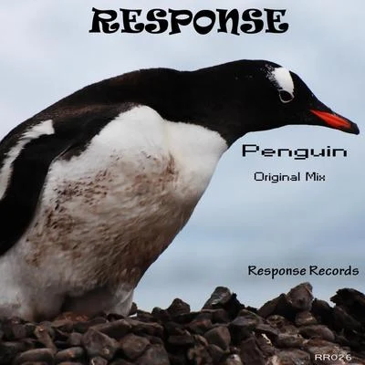 Penguin 專輯 Response