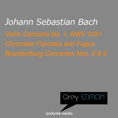 Grey Edition - Bach: Violin Concerto No. 1, BWV 1041 & Brandenburg Concertos Nos. 5, 6 專輯 Christiane Jaccottet/Maria Pivka/Sylvia Cápová