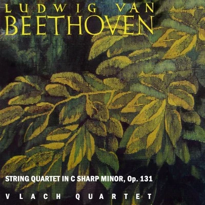 Beethoven String Quartet 专辑 František Pošta/Dvořák Quartet/Vlach Quartet