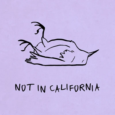 Not In California 專輯 K.Flay