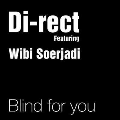 Blind For You 專輯 Di-Rect/Fedde Le Grand