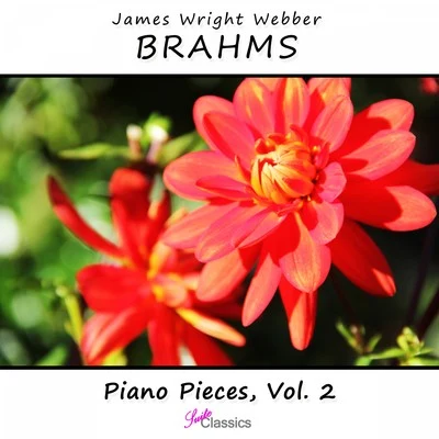 Brahms: Piano Pieces, Vol. 2 專輯 James Wright Webber