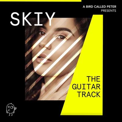 The Guitar Track 專輯 SKIY