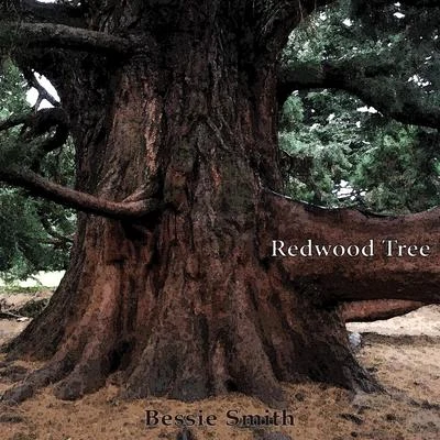 Redwood Tree 專輯 Bessie Smith/Earl Hines/Susie/Jack Teagarden/Clarence Williams