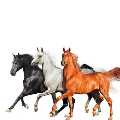 Old Town Road (Diplo Remix) 專輯 Billy Ray Cyrus/Montserrat Caballé/Jon Secada/Peter Gabriel/Richard Marx