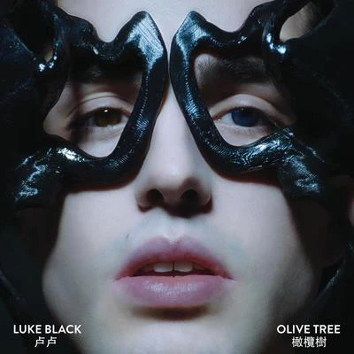 Olive Tree 專輯 Isherwood/Per Bojsen-Moller/Luke Black