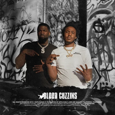 Blood Cuzzins 專輯 Tsu Surf/Neek Bucks/Lil Tjay/G Herbo/Sleazus Bhrist