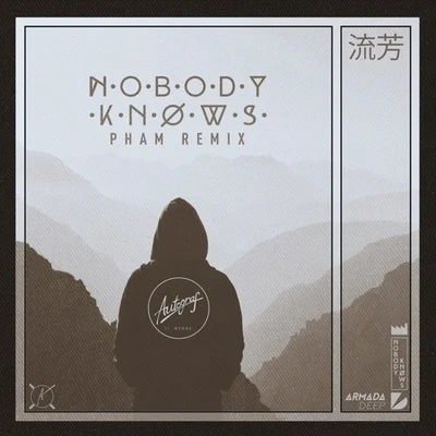 Nobody Knows (Pham Remix) 专辑 Pham/Sober Rob/Madi