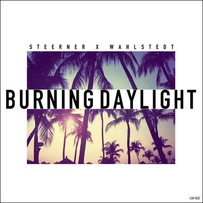 Burning Daylight 专辑 Felipe C/Steerner/Kourosh Tazmini/Vuk Lazar/Anda Adam