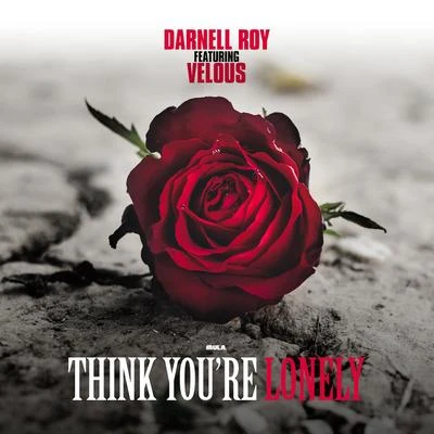 Think Youre Lonely (feat. Velous) 專輯 K-Major/Darnell Roy