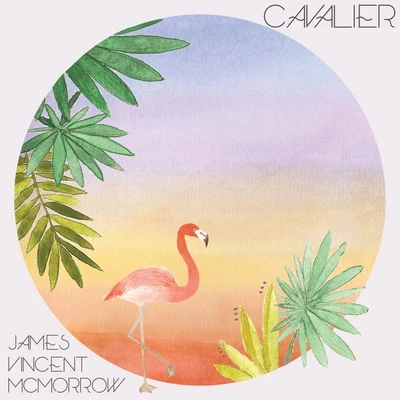 James Vincent McMorrow Cavalier