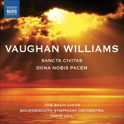 VAUGHAN WILLIAMS, R.: Dona Nobis PacemSancta Civitas (Pier, Brook, Staples, Bach Choir, Winchester Cathedral Choristers,Bournemouth Symphony, Hill) 专辑 David Hill