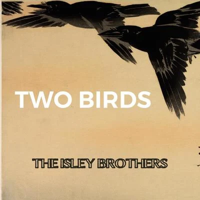 Two Birds 專輯 The Soul Searchers/The Isley Brothers/Marvin Gaye/Cameo/Earth