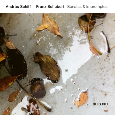 Franz Schubert: Sonatas & Impromptus 專輯 András Schiff