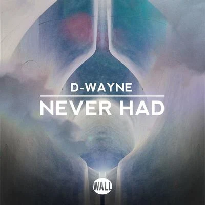 Never Had 专辑 D-wayne/Funk D