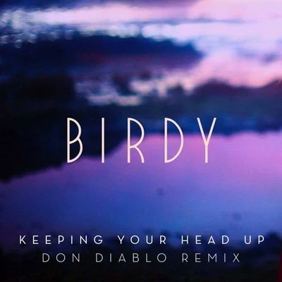 Keeping Your Head Up (Don Diablo Remix) 专辑 BIRDY