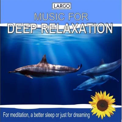 Deep Relaxation Music, for meditation, a better sleep or just for dreaming 专辑 Largo/Jaydon Lewis