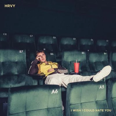 I Wish I Could Hate You 专辑 HRVY