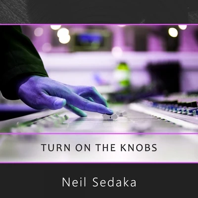 Turn On The Knobs 专辑 Paul Neubauer/George Gershwin/Ani Kavafian