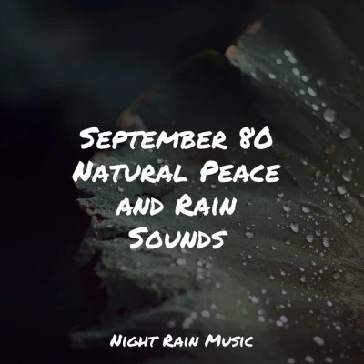 September 80 Natural Peace and Rain Sounds 專輯 Ready Baby Music!