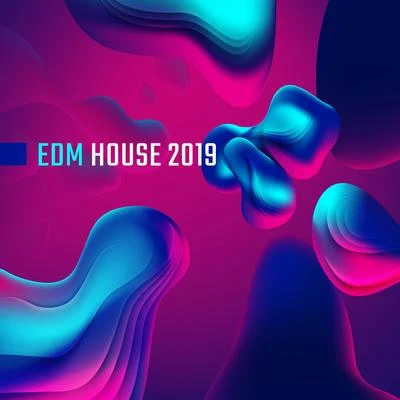 EDM House 2019: Bumpy Beats, Clubbing Music, Dance Songs, Essential Party Album 專輯 Awesome Chillout Music Collection/Electronic Music Zone