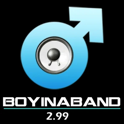 Boyinaband 2.99