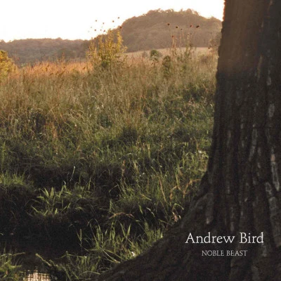 Noble Beast 專輯 Andrew Bird