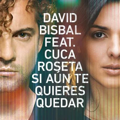 Si Aún Te Quieres Quedar 专辑 David Bisbal