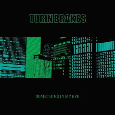 Turin Brakes Something In My Eye