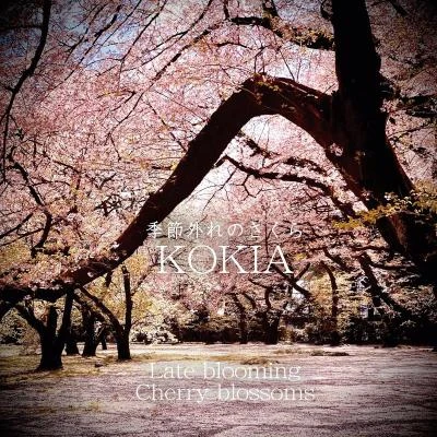 KOKIA 季節外れのさくら