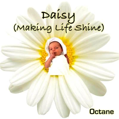 Daisy Making Life Shine 專輯 Octane/Shnabre/HOL!/Autokilla