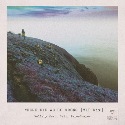 Where Did We Go Wrong (feat. Cali & PaperShapes) [VIP MIX] 專輯 Andie Nora/Wallaby