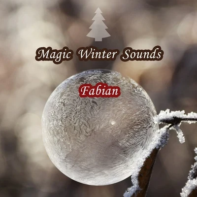 Magic Winter Sounds 專輯 Fabián