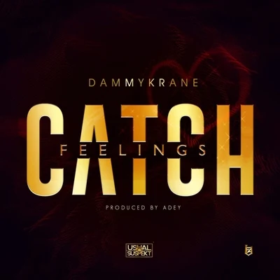 Catch Feelings 專輯 Dammy Krane/Black Beatz