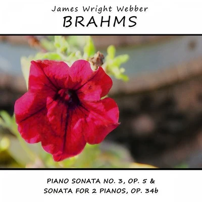 Brahms: Piano Sonata No. 3, Op. 5 & Sonata for 2 Pianos, Op. 34b 專輯 James Wright Webber