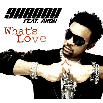 What Is Love 專輯 Shaggy/GC