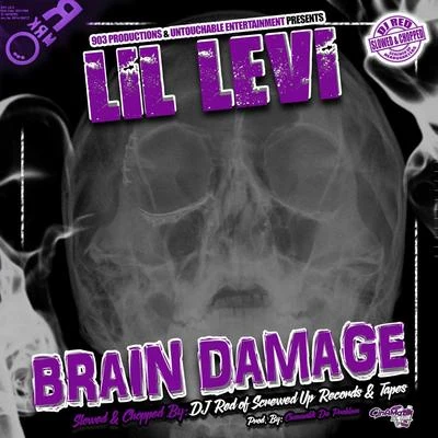 Brain Damage (Reloaded) 专辑 J-Real/CinAMatik Da Problem